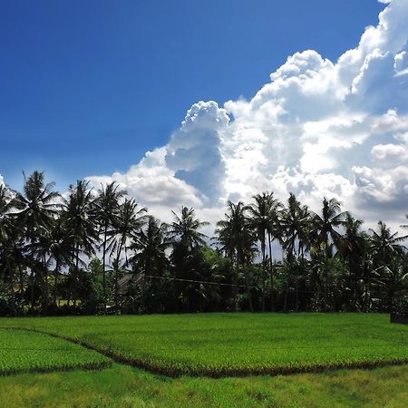 Pondok Ayu Soca Ubud Esterno foto