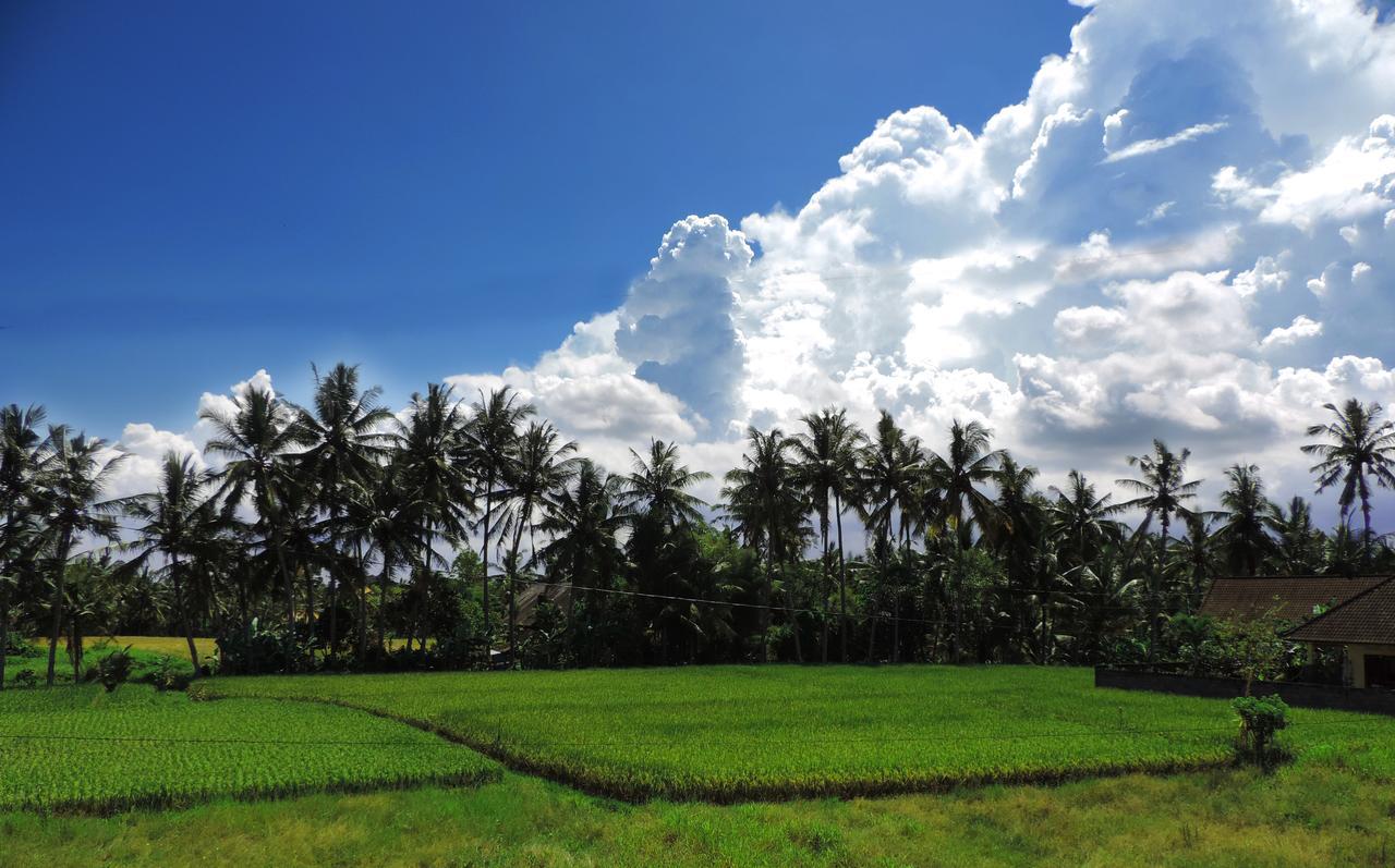 Pondok Ayu Soca Ubud Esterno foto